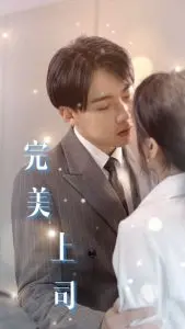 完美上司 海报