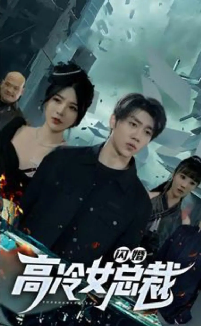 闪婚高冷女总裁：爱情与现实碰撞的都市罗曼史