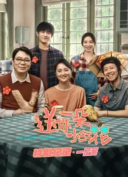 送你一朵小红花 特别纪录第一集 海报