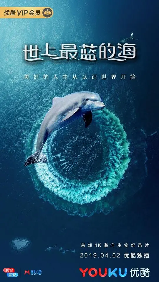 世上最蓝的海 海报