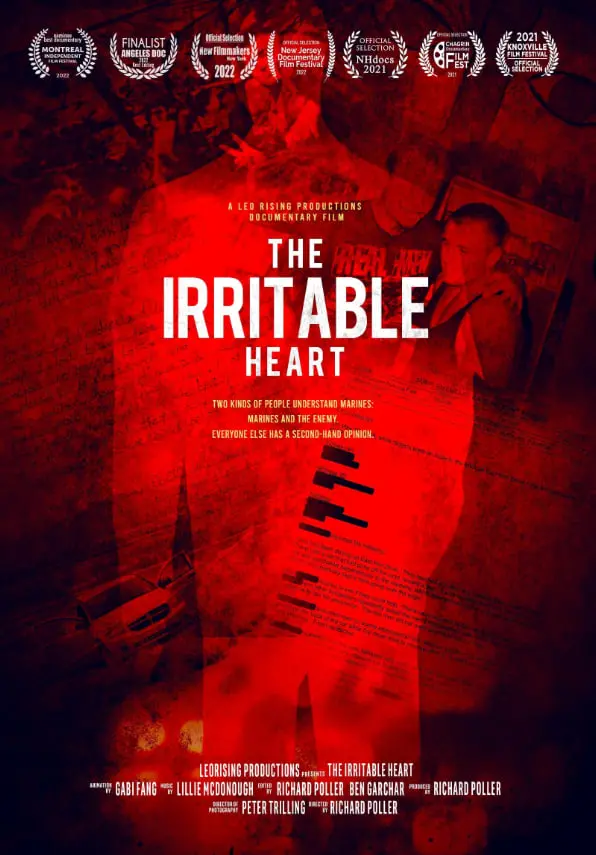 《易怒的心》影评：愤怒背后的爱与救赎，一部触动灵魂的佳作